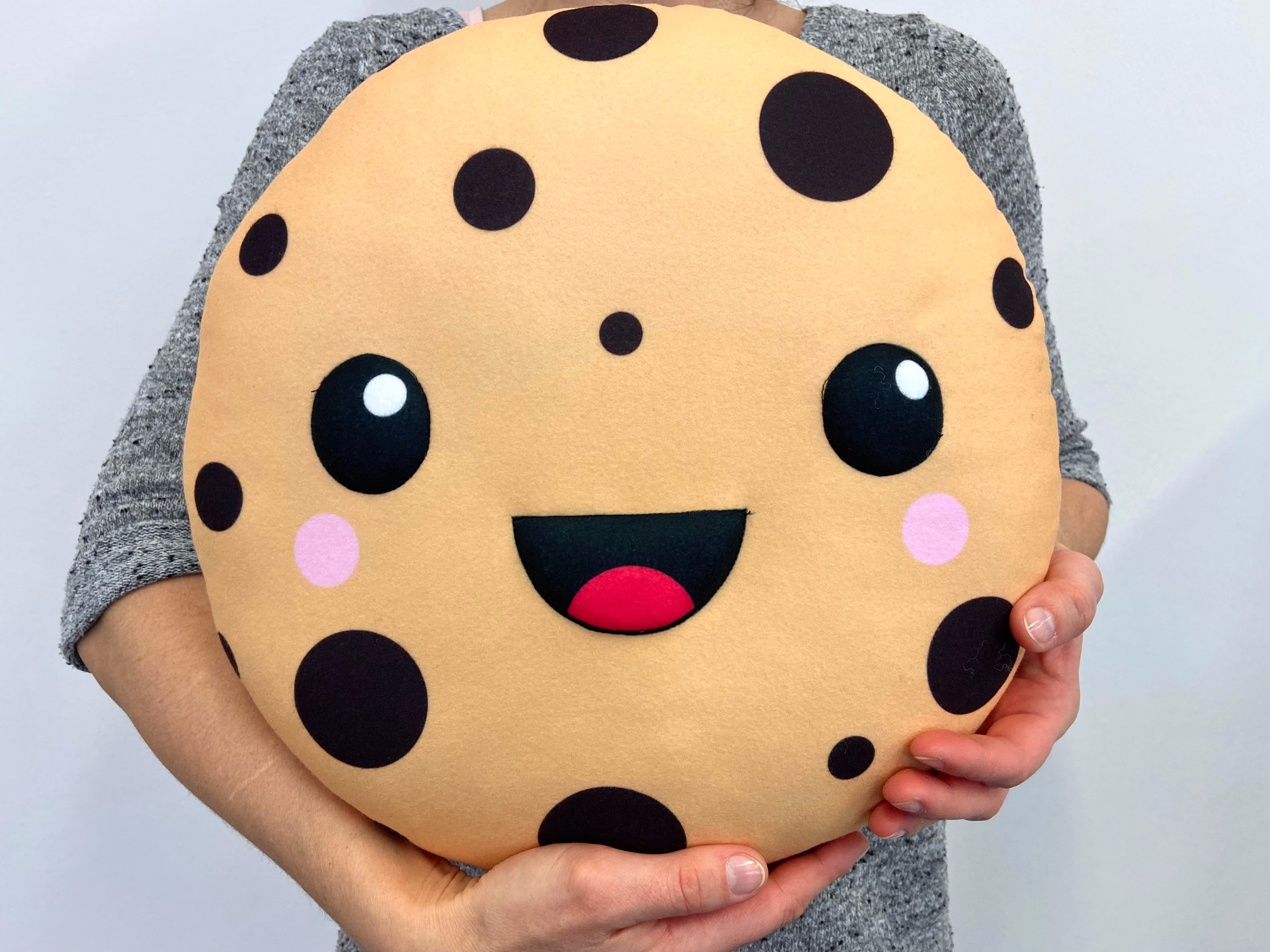 Cookie Pisca Pillow 1